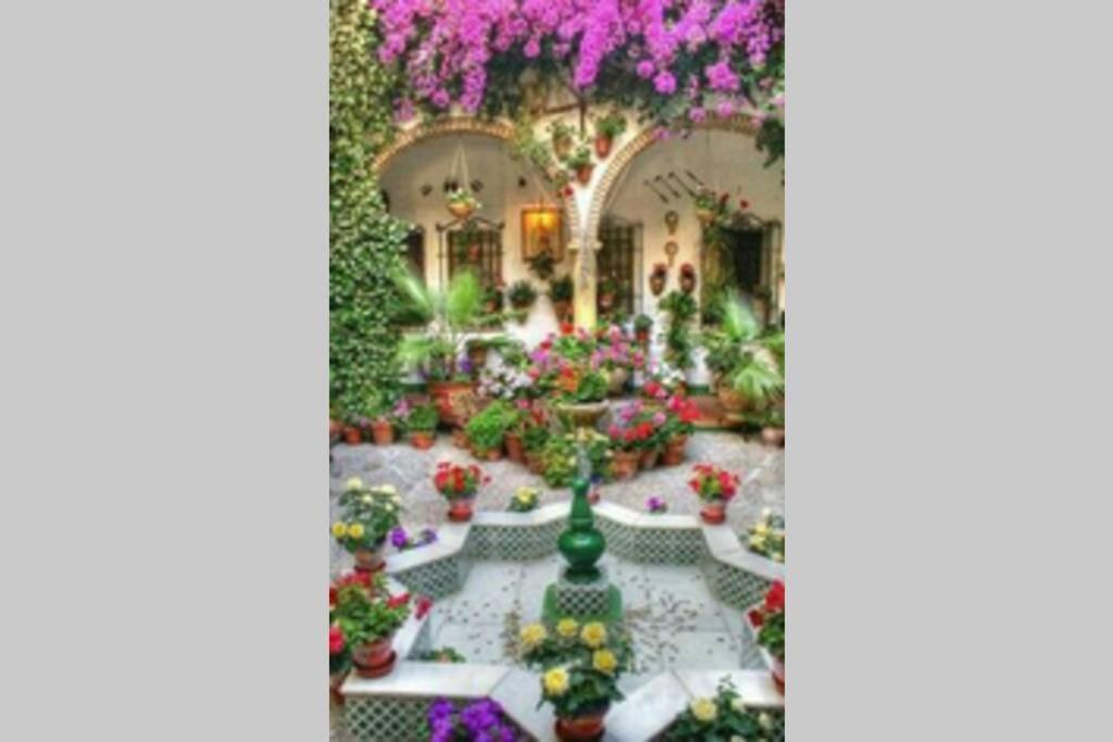 דירות Corredera House. Pleno Centro De קורדובה מראה חיצוני תמונה